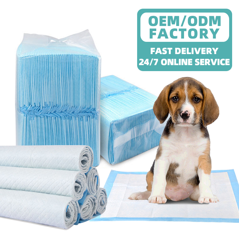 Dog urine pet training pad absorbent pads pet products hot sellings 2024