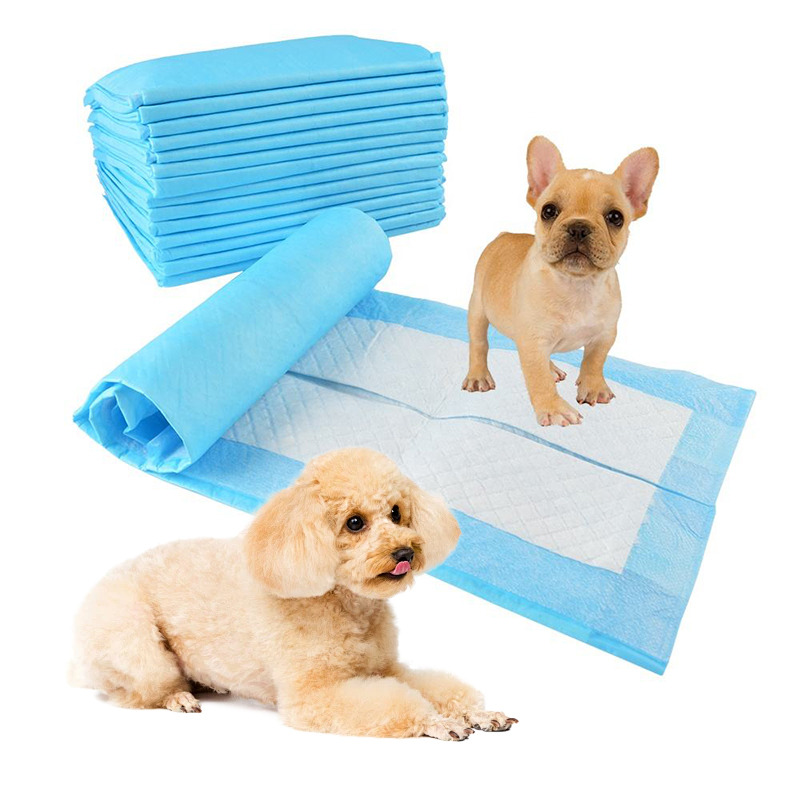 Custom Wholesale Basics Disposable Leak-Proof Quick-Dry Pets Training Pee Pads Dogs Puppy Dog Pet Pad